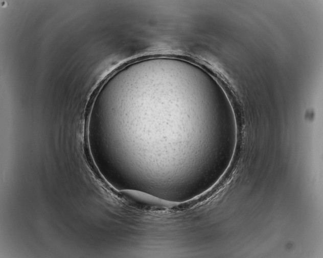 X0000098221220200805011226