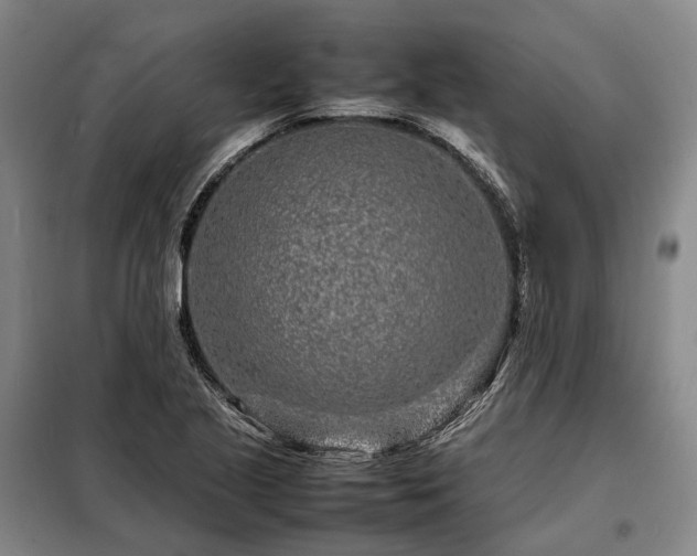 X0000098221221200805011226