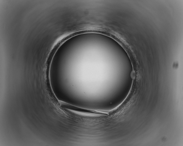 X0000098221222200805011226