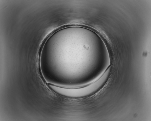 X0000098221224200805011226