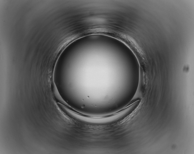 X0000098221225200805011226