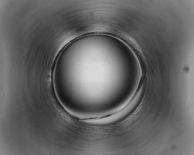 X0000098221226200805011226