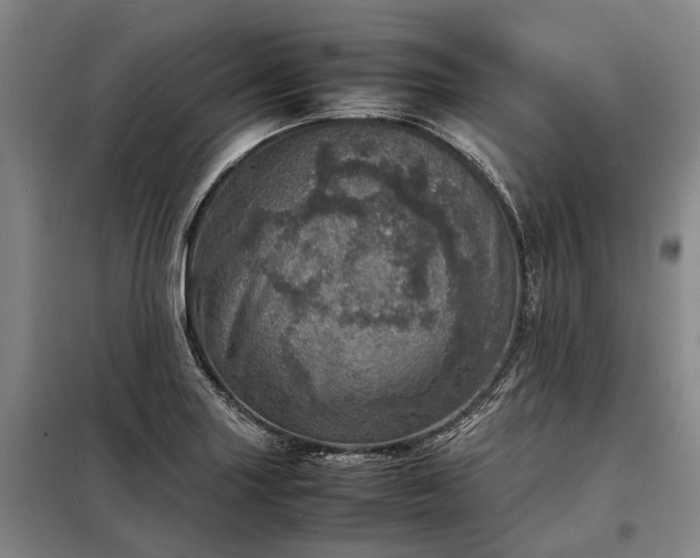 X0000098221227200805011226