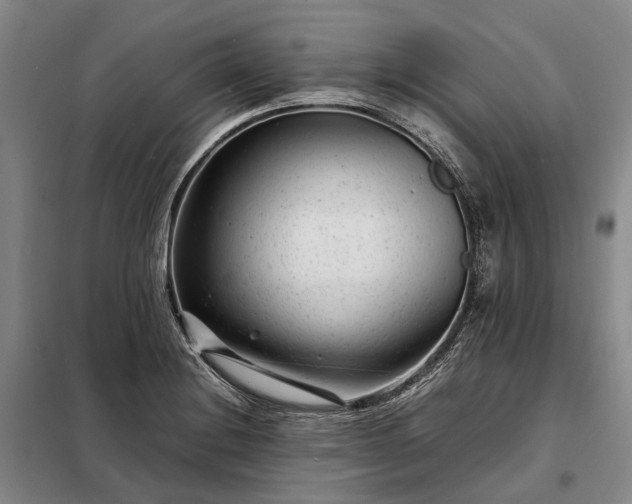 X0000098221228200805011226