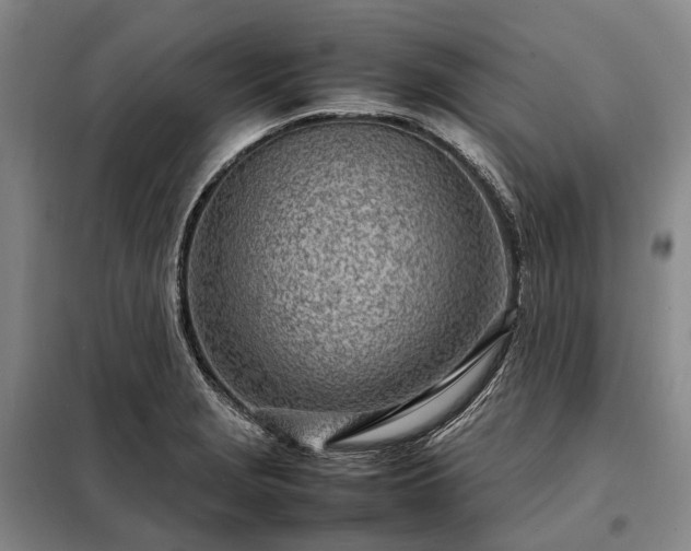 X0000098221229200805011226