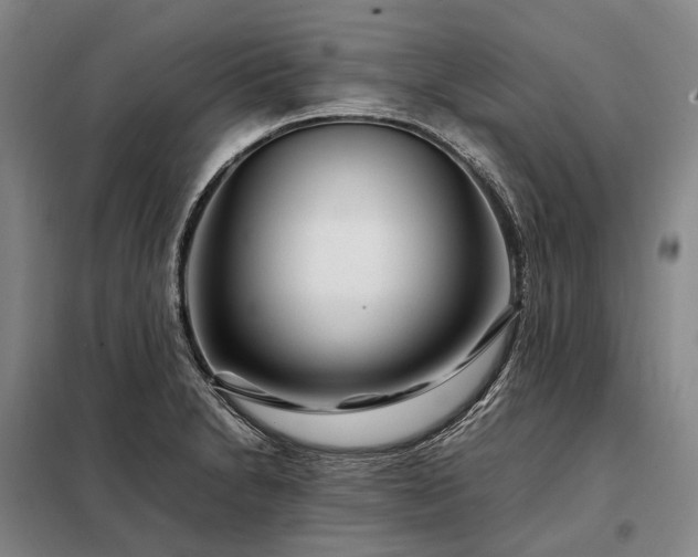 X0000098221230200805011227