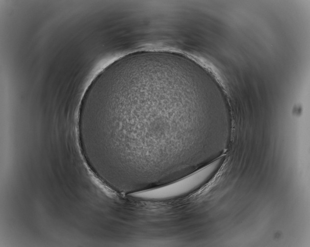 X0000098221231200805011227