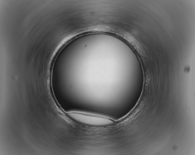 X0000098221232200805011227