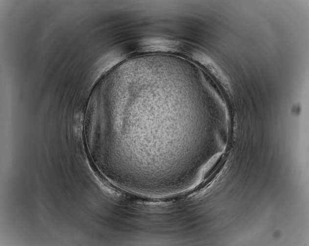 X0000098221233200805011227