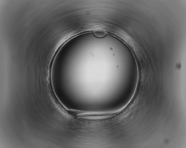 X0000098221234200805011227