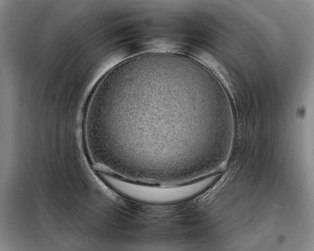 X0000098221235200805011227