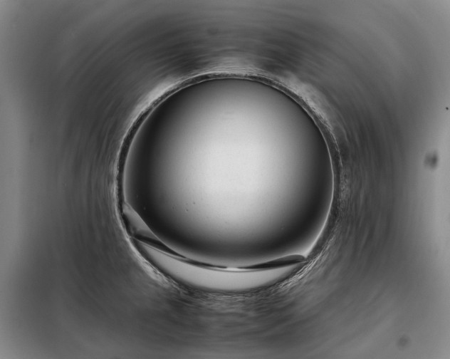 X0000098221237200805011227