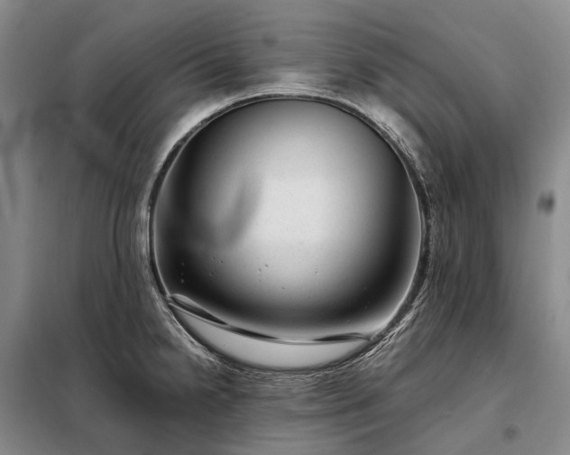 X0000098221238200805011227