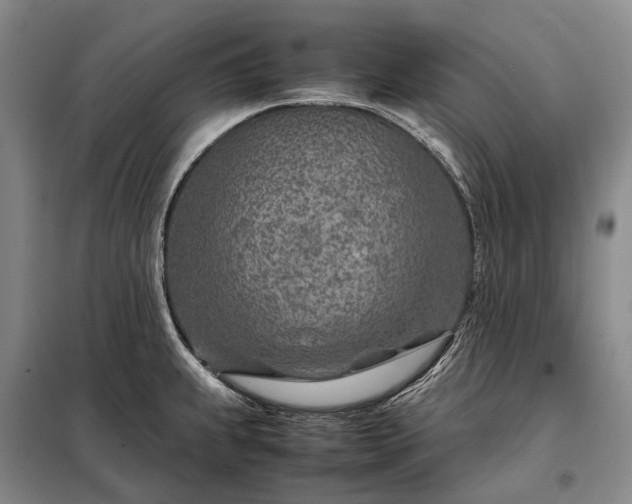 X0000098221239200805011227