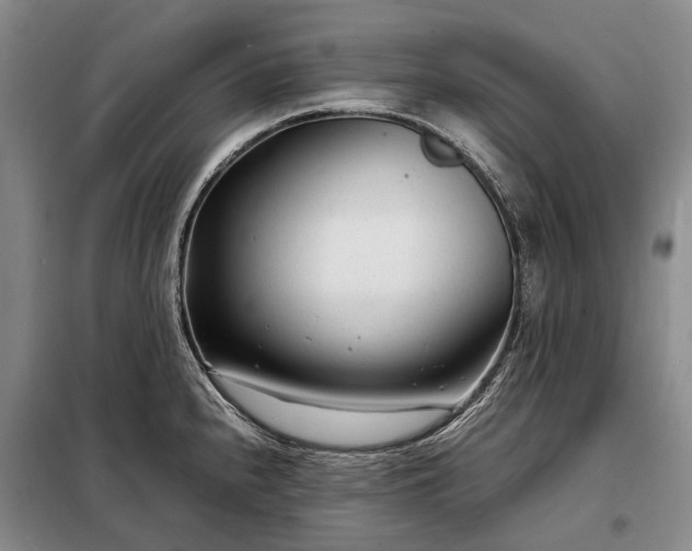 X0000098221240200805011227