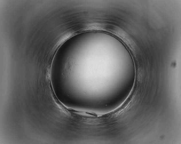 X0000098221241200805011227