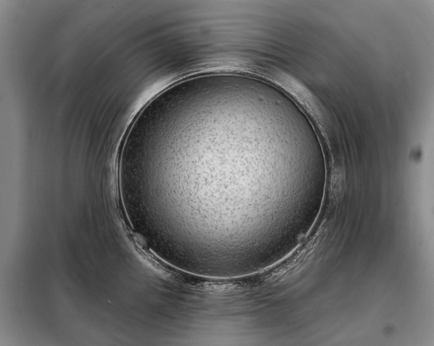 X0000098221242200805011227