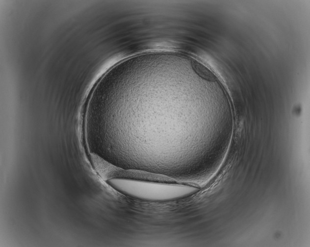 X0000098221243200805011227