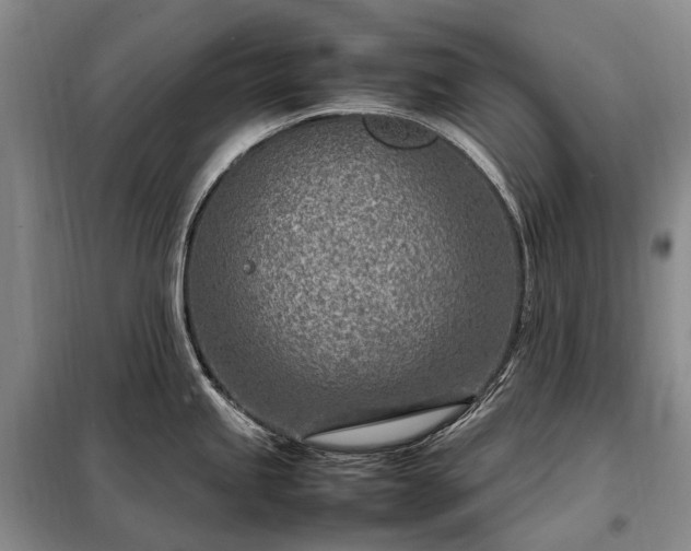 X0000098221245200805011227