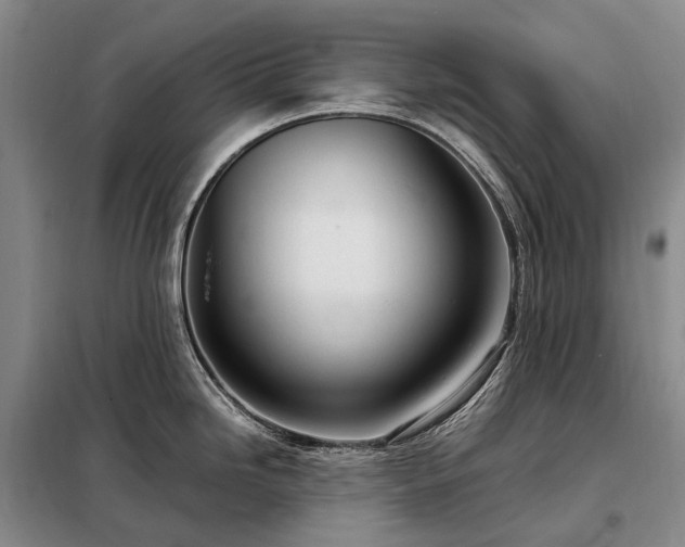 X0000098221246200805011227