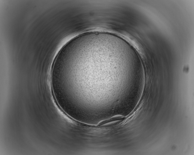 X0000098221247200805011227