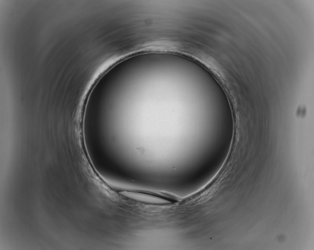 X0000098221248200805011227