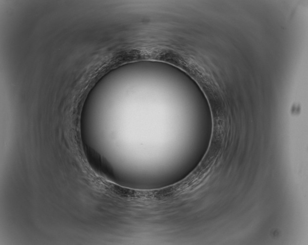 X0000098221249200805011226