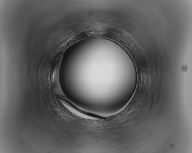 X0000098221250200805011226