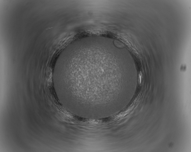 X0000098221251200805011226