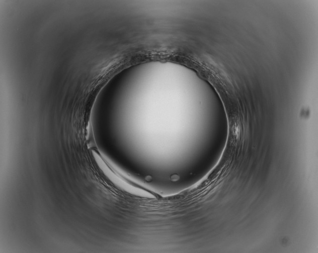 X0000098221252200805011226