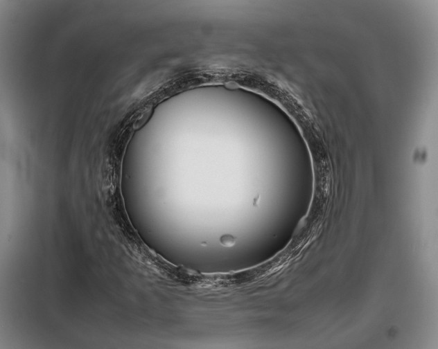 X0000098221253200805011226