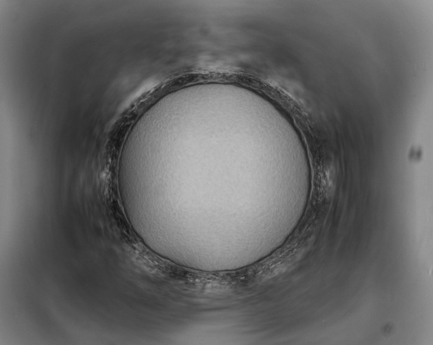 X0000098221254200805011226