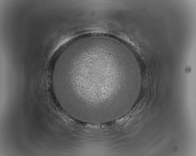 X0000098221255200805011226