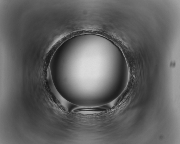 X0000098221256200805011226