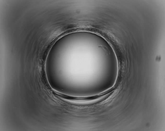 X0000098221257200805011226