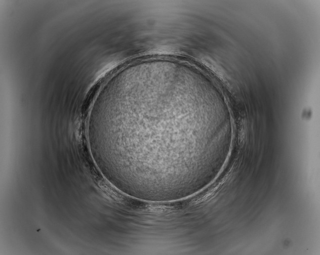 X0000098221258200805011226