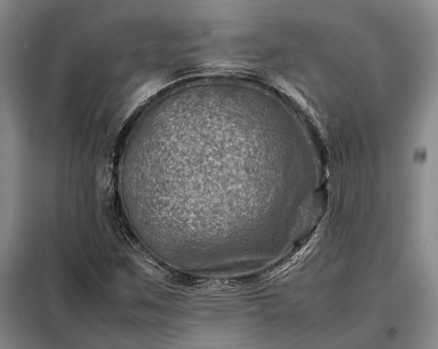 X0000098221259200805011226