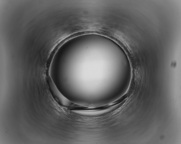 X0000098221260200805011226