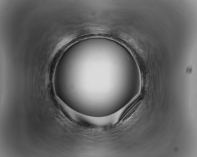 X0000098221261200805011226