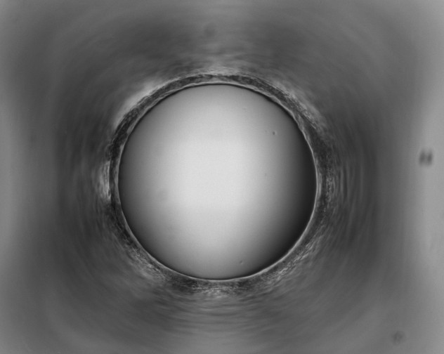 X0000098221262200805011226