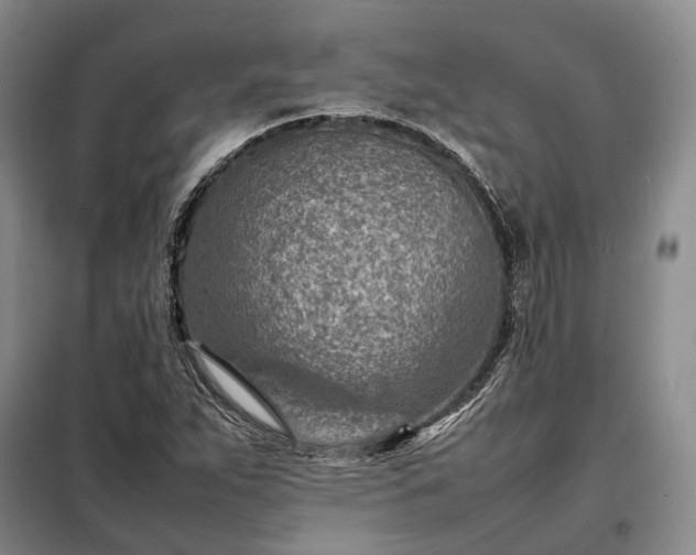 X0000098221263200805011226