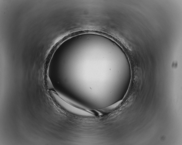 X0000098221264200805011226