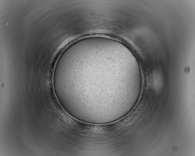 X0000098221266200805011226