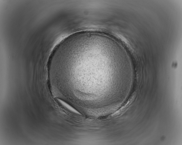 X0000098221267200805011226