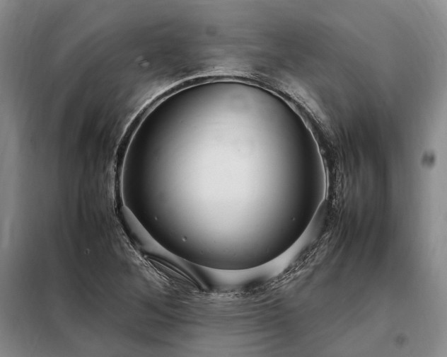 X0000098221268200805011226