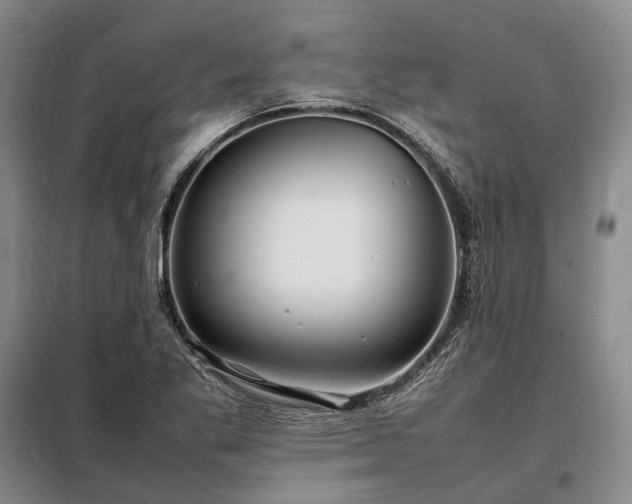 X0000098221269200805011226