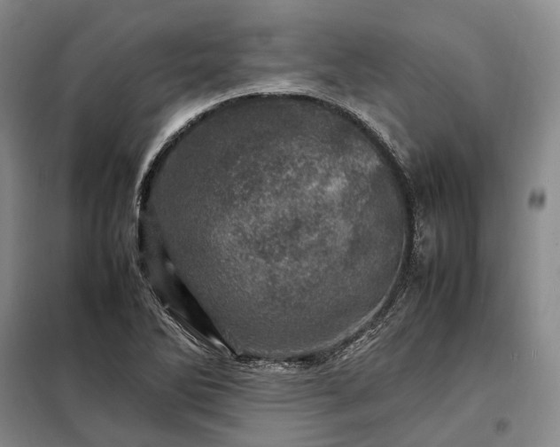 X0000098221270200805011226