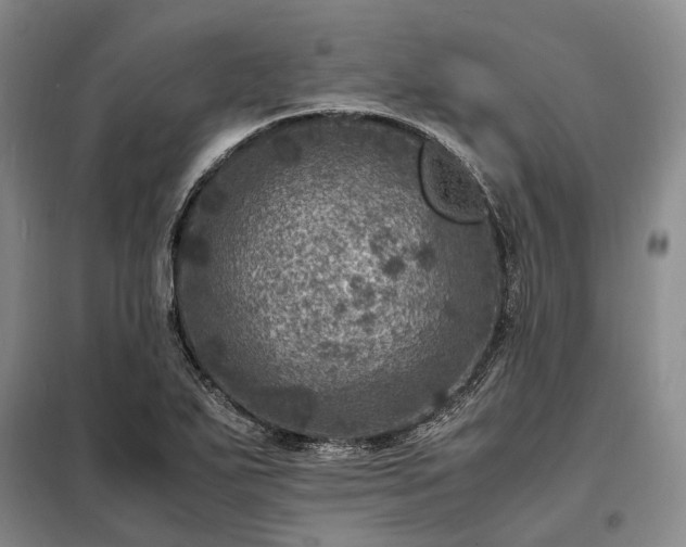 X0000098221271200805011226