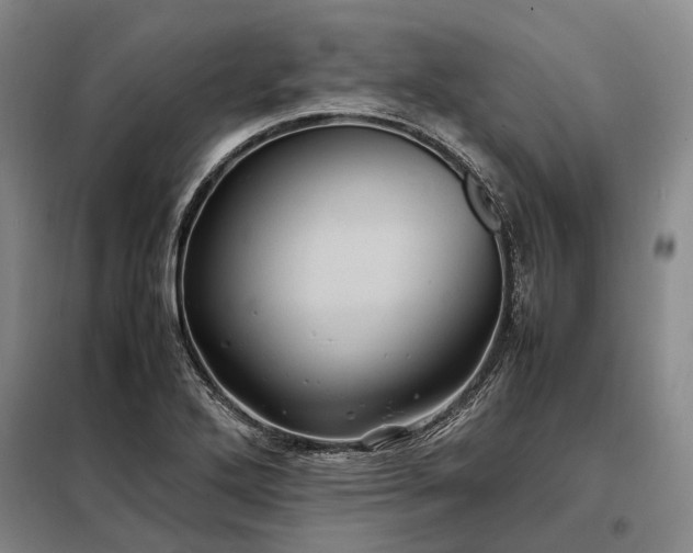 X0000098221272200805011226