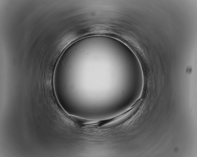 X0000098221273200805011226